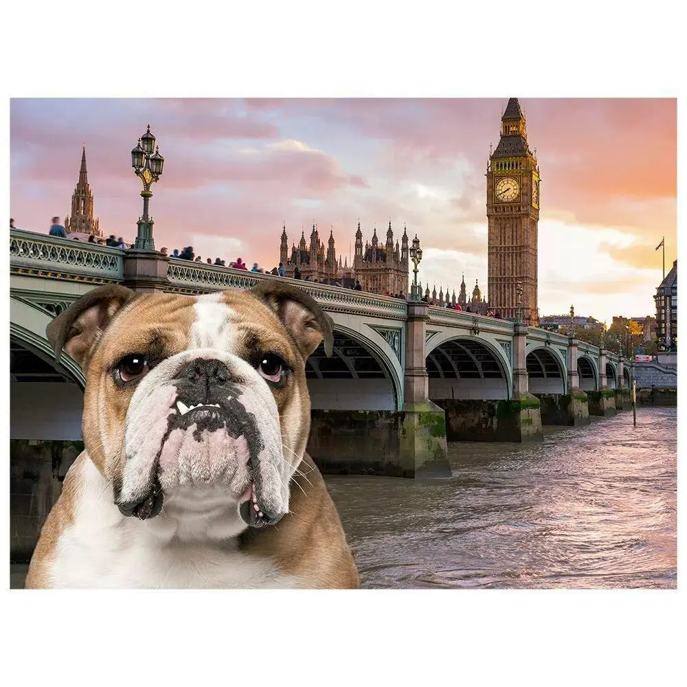 Puzzle Quebra-Cabeça 2 Puzzles de 500 Peças Pets e Suas Origens - Grow, lindo quebra-cabeça para se divertir